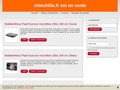 le chinchilla