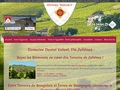Vigneron beaujolais Mâcon