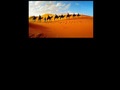 Morocco Tours from Marrakech