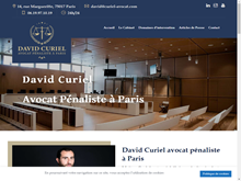 Avocat du tribunal correctionnel à Paris