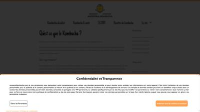 Guide sur le kombucha et son SCOBY