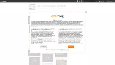 blog avis sur creavilla