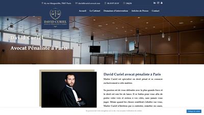 Avocat du tribunal correctionnel à Paris