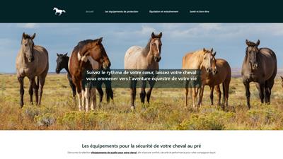 l'univers des chevaux: Informations, conseils et ressources 