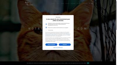 Animalerie en ligne : Conseils et accessoires pour les animaux !