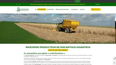 Rhizosfer : miscanthus giganteus