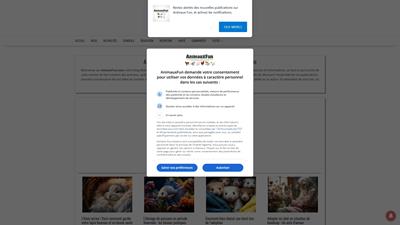 Votre blog dédié aux animaux de compagnie
