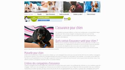assurance pour chien