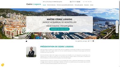 Cabinet d’avocat en droit des étrangers à Montpellier