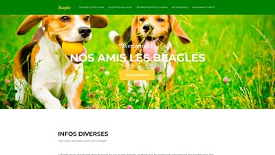infos sur le beagles