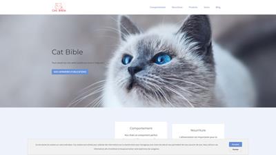 Le chat : agile, élégant et indépendant