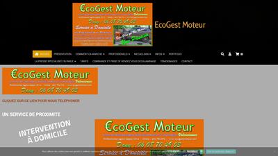 DECALAMINAGE ET DEPOLLUTION MOTEUR