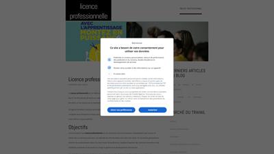 licence professionnelle