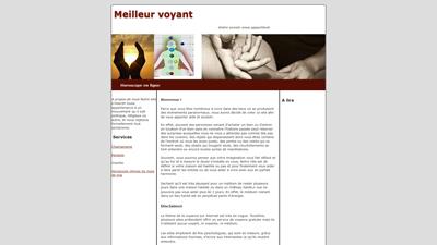 meilleurs voyants