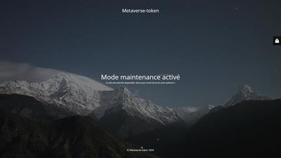 Metaverse token