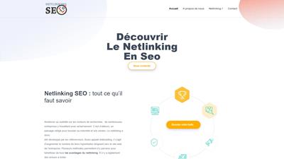 Netlinking Seo
