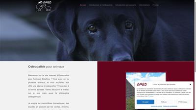 Soins d’ostéopathie pour animaux domestiques en Suisse