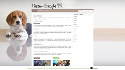 beagle femelle