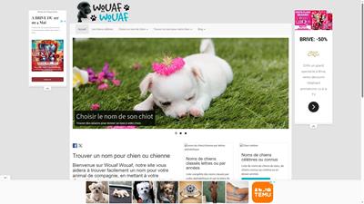 Donner un nom original à son nouvel animal de compagnie