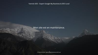 Yannick SEO | Expert Google Business &amp; RÃ©fÃ©rencement Local
