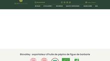 Figue de Barbarie bio de Tunisie : une excellence gustative et des bienfaits pour la santé