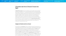 Histoire fer à cheval