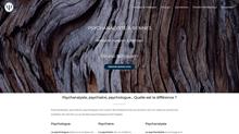 Psychanalyste à Rennes