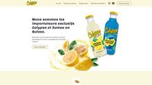 Calypso Drink, limonades aux goûts de fruits