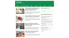 ccsaves31.fr