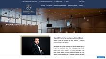 Avocat du tribunal correctionnel à Paris