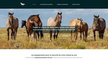 l'univers des chevaux: Informations, conseils et ressources 