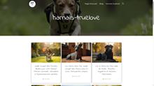 https://harnais-truelove.fr/