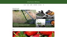 Quelles sont les bonnes associations de plantes et de légumes ?