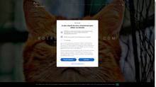Animalerie en ligne : Conseils et accessoires pour les animaux !