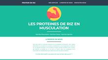 proteine de riz