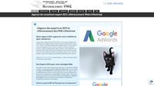 agence SEO à Montréal