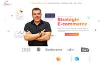 Consultant E-commerce et stratégie digitale