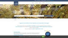 Agence immobilière Hossegor - OCEAN AQUITAINE