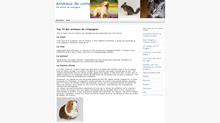 les animaux de compagnie