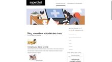 assurance pour animaux