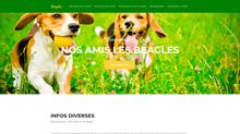 infos sur le beagles