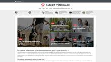 emmener son animal chez le veterinaire