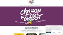 Canyon Forest, un parcours sécurisé pour découvrir la forêt