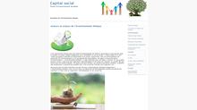 le capital social