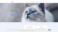 Le chat : agile, élégant et indépendant