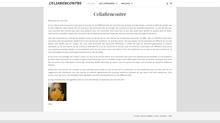 Accueil - Le blog de Celia sur les rencontres sur Internet