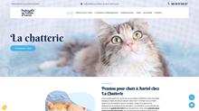 Alimentation chats à Auriol chez La Chatterie du Vallon 