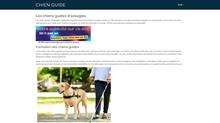 chien guide