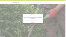 Entreprise de jardinage paysagiste Fréjus -  Clarisse Environnement