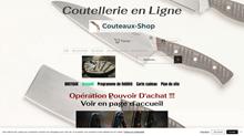 Votre coutellerie de référence en ligne